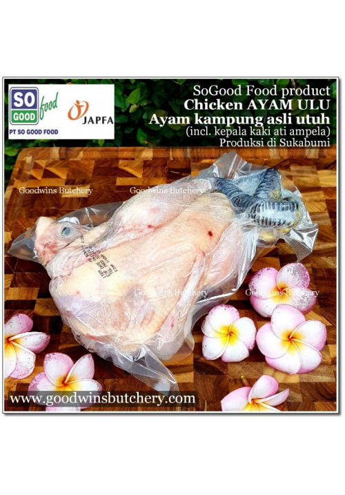 Chicken WHOLE AYAM ULU (mixed breed ayam kampung utuh ada kepala kaki hati ampela) SOGOOD FOOD frozen +/- 1.1kg (price/kg)